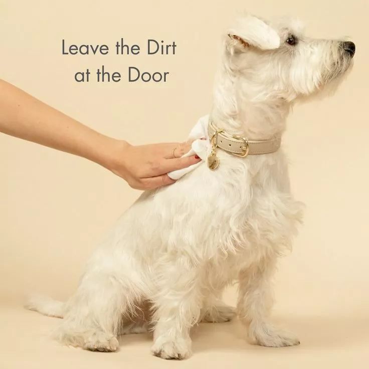 Les lingettes pour animaux pour les chiens sont-elles sûres pour les animaux de compagnie?