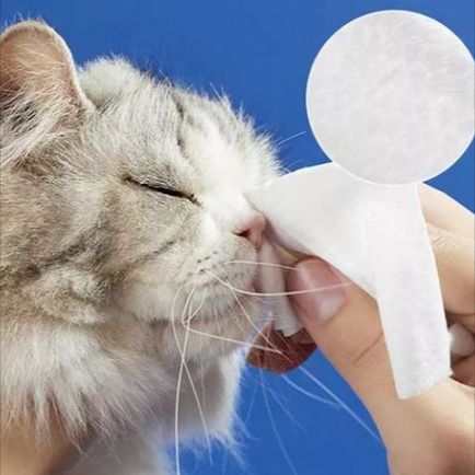 Tissu de lingette pour animaux de compagnie ： Gadgets pour les soins à l'hygiène des animaux