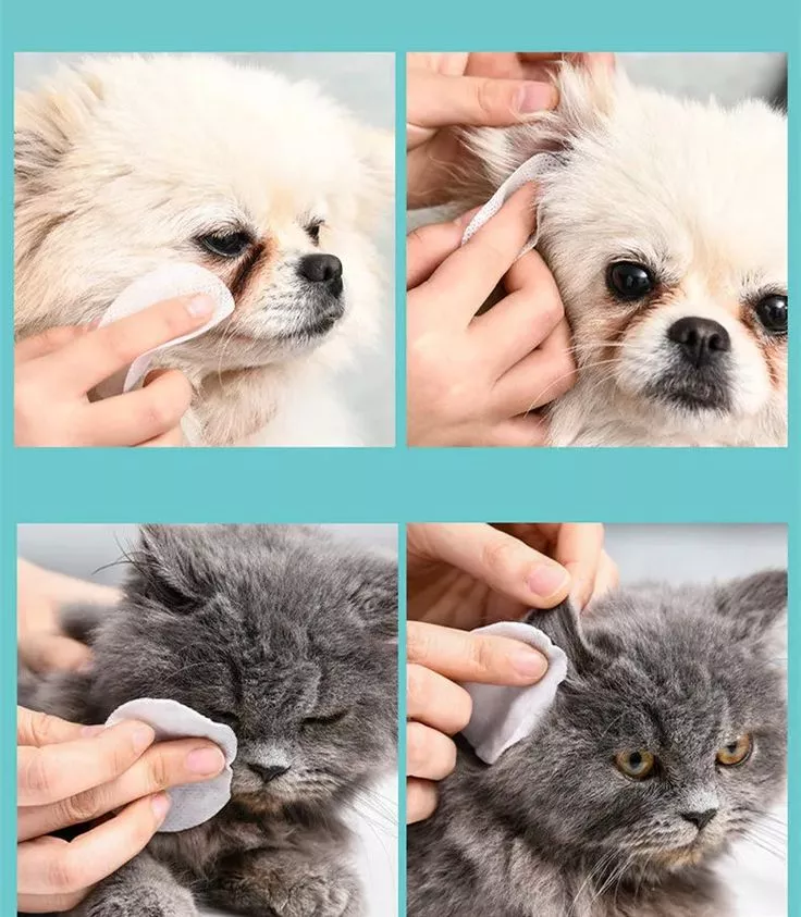 Pourquoi les lingettes d'oreille pour chiens pour chiens sont idéales pour le nettoyage de l'oreille
