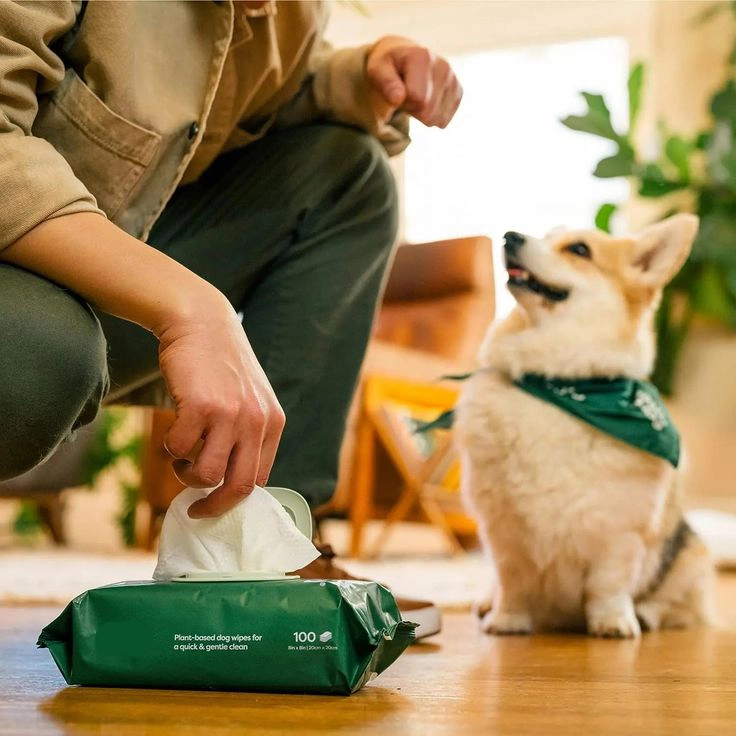 Gières de nettoyage d'animaux