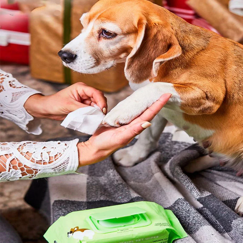 Voyage des lingettes pour animaux de compagnie
